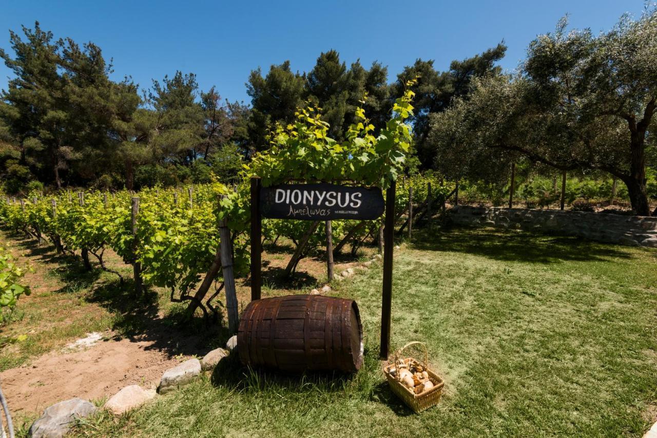 Dionysus Apartments & Suites Ierissos Exterior foto
