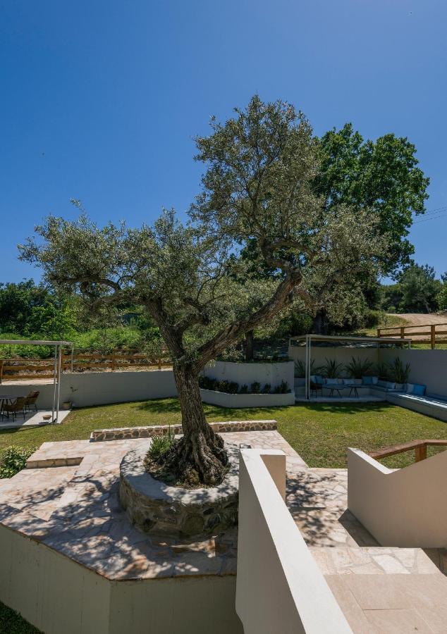 Dionysus Apartments & Suites Ierissos Exterior foto